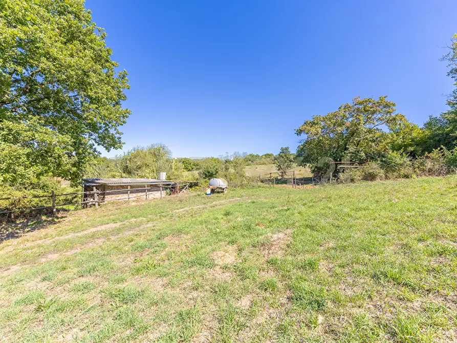 Immagine 30 di Rustico / casale in vendita  in località san quirichello a Barbarano Romano