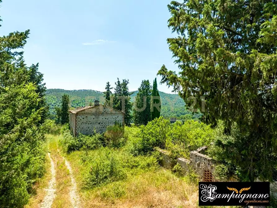 Immagine 43 di Rustico / casale in vendita  in agriturismo lampugnano 47 a Civitella Paganico