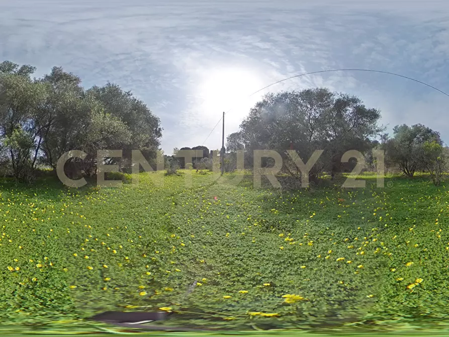 Immagine 39 di Terreno agricolo in vendita  in Contrada Vaccarizzo a Catania