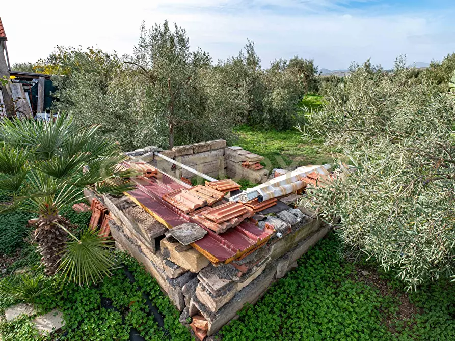 Immagine 5 di Terreno agricolo in vendita  in Contrada San Francesco snc a Paterno'