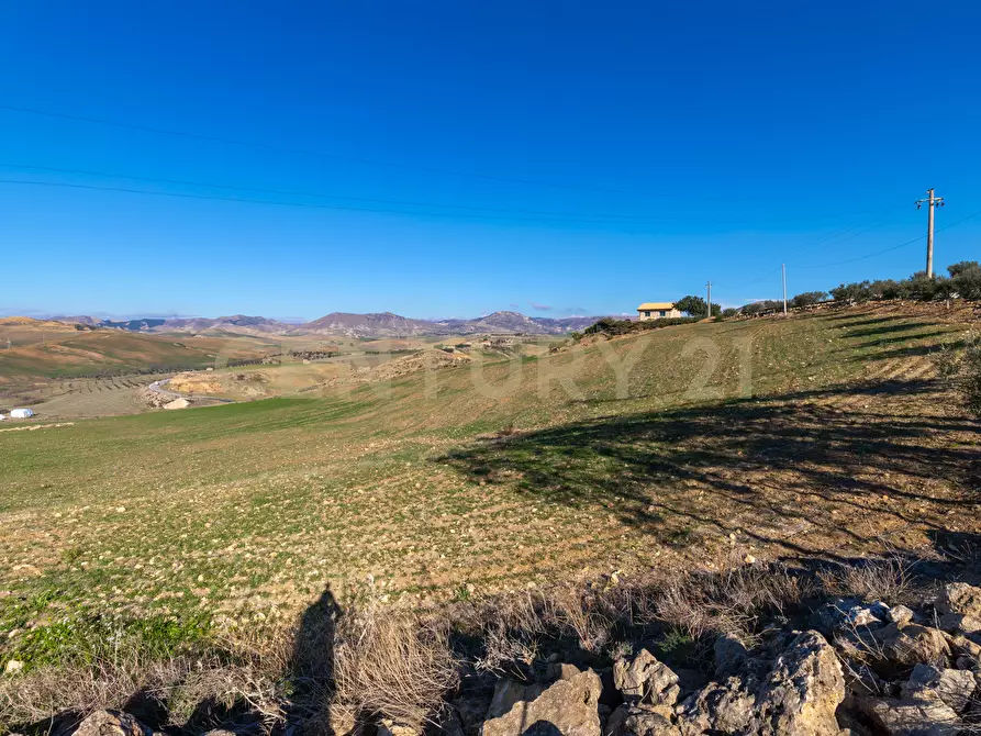 Immagine 1 di Terreno agricolo in vendita  in Strada Provinciale 23b a Centuripe