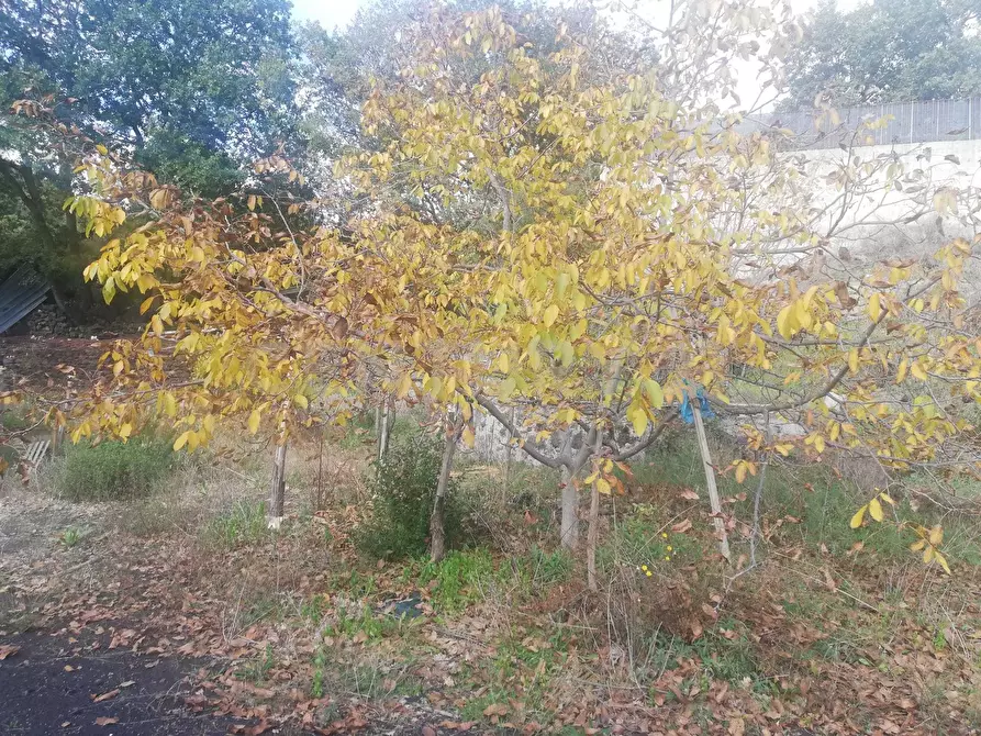 Immagine 20 di Terreno edificabile in vendita  in Contrada Regala Regaridda a Nicolosi