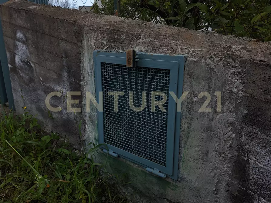 Immagine 22 di Terreno agricolo in vendita  in Contrada malvezzaro a Santa Maria Di Licodia