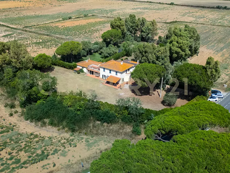 Immagine 3 di Rustico / casale in vendita  in Strada Provinciale San Donato 23 a Orbetello