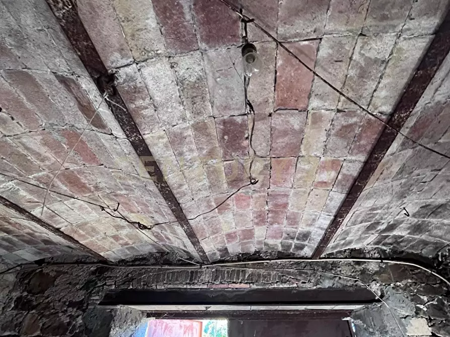 Immagine 13 di Terratetto in vendita  in Località Poggio Murella a Manciano