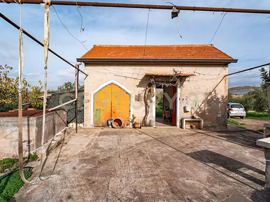 Immagine 19 di Terreno agricolo in vendita  in Contrada San Francesco snc a Paterno'