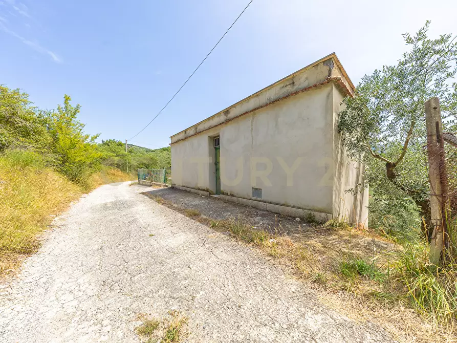 Immagine 42 di Rustico / casale in vendita  in via mercorano 1 a San Gregorio Da Sassola