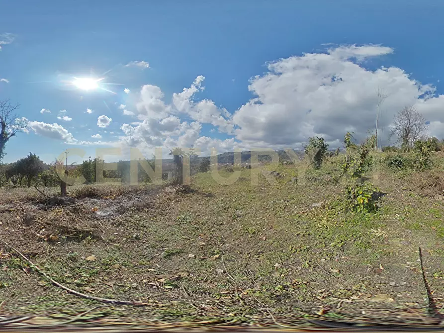 Immagine 35 di Terreno agricolo in vendita  in via giuseppe zinghirino 1 a Giarre