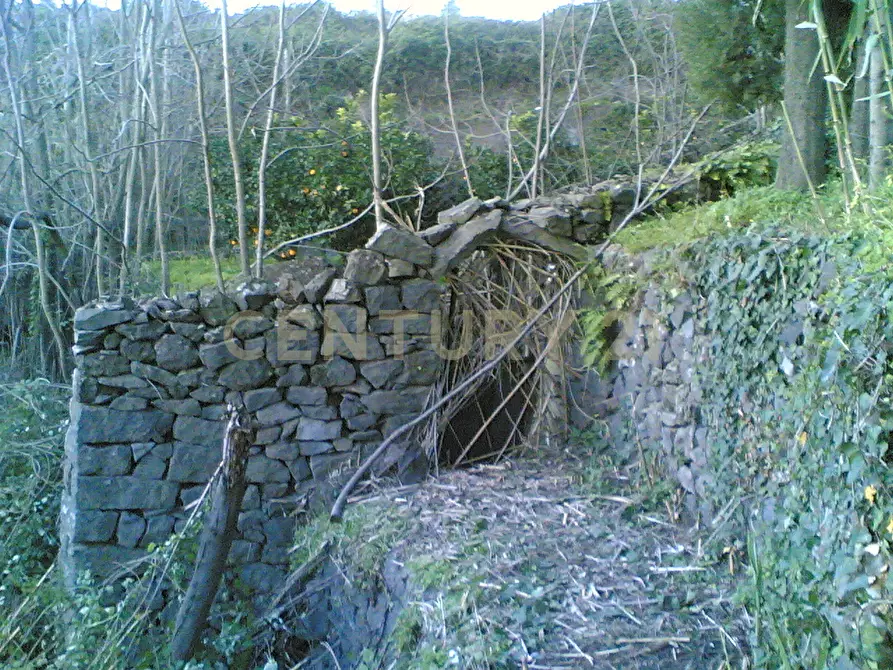 Immagine 20 di Casa bifamiliare in vendita  in Via del Santuario 26 a Giarre