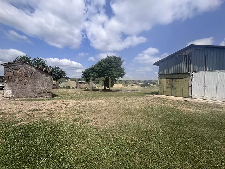 Immagine 9 di Rustico / casale in vendita  in Via Case Sparse a Scansano