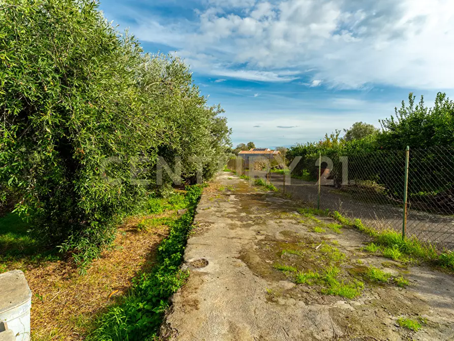 Immagine 13 di Terreno agricolo in vendita  in Via Cerza 35 a San Gregorio Di Catania