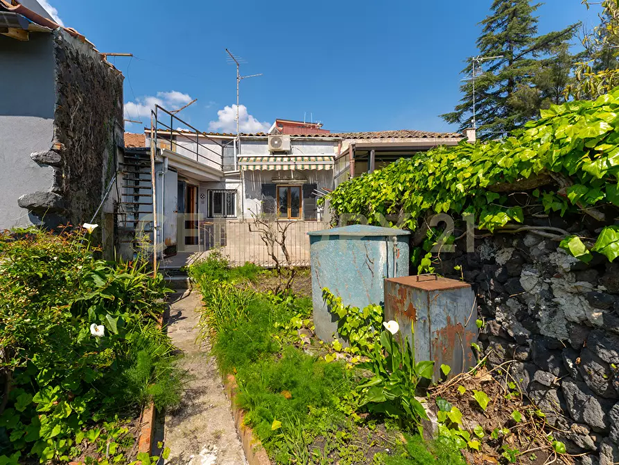 Immagine 38 di Casa indipendente in vendita  in Via Roma 119 a Mascalucia