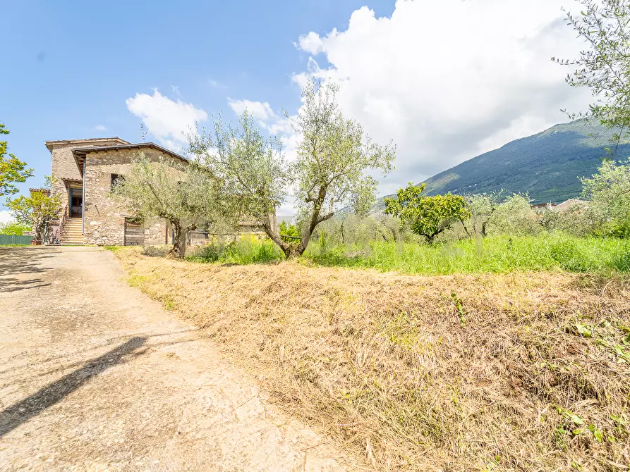 Immagine 17 di Villa in vendita  in Via Colle Sant'Angelo 36 a Serrone