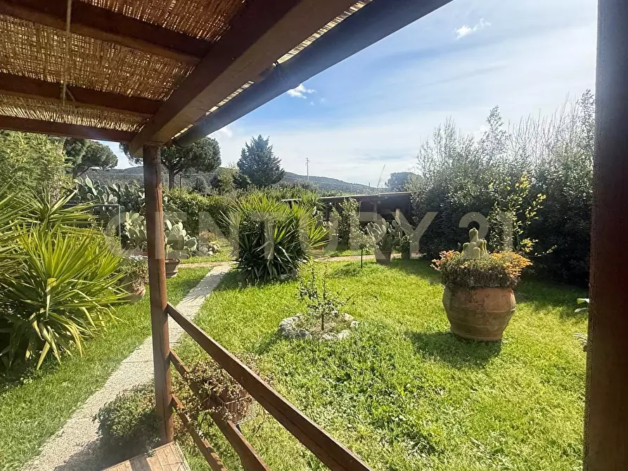 Immagine 3 di Terreno agricolo in vendita  in Loc. quattrostrade a Orbetello