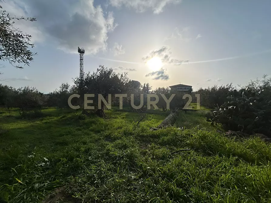 Immagine 36 di Terreno agricolo in vendita  in Via Giovanni Verga 1/A a Misterbianco