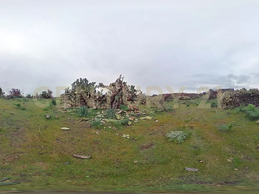 Immagine 28 di Terreno agricolo in vendita  in Via Santa Maria di Licodia a Belpasso