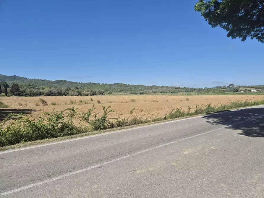Immagine 16 di Terreno agricolo in vendita  in loc. Badia Vecchia a Castiglione Della Pescaia