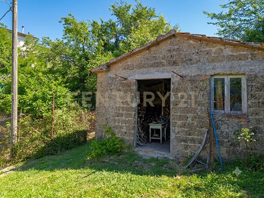 Immagine 21 di Pentalocale in vendita  in Via Aldobrandeschi 53 a Castell'azzara