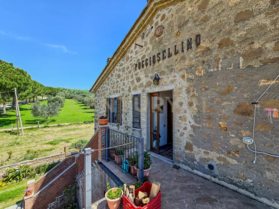 Immagine 9 di Casa indipendente in vendita  in località podere poggio sellino snc a Semproniano
