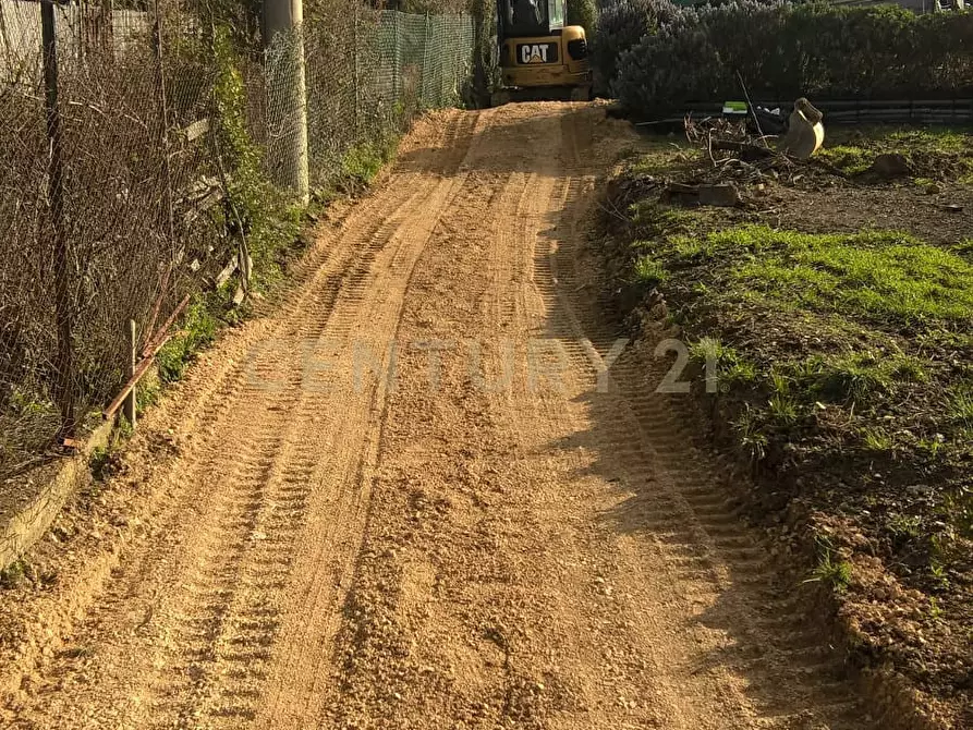 Immagine 7 di Rustico / casale in vendita  in via cannatelli 56 a Monte Argentario