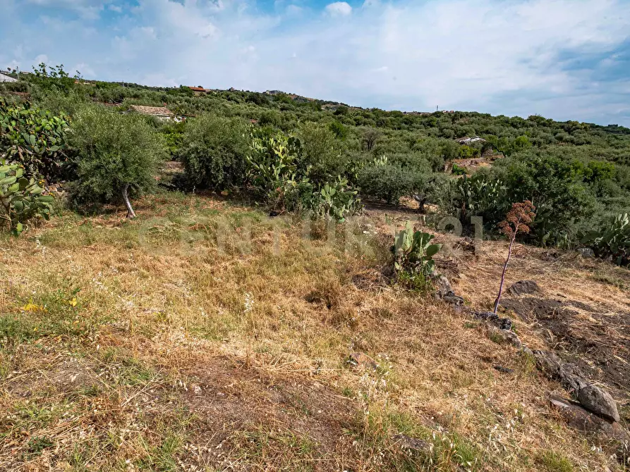 Immagine 46 di Terreno agricolo in vendita  in Via San Leo a Adrano