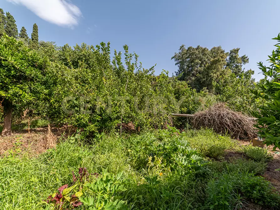 Immagine 29 di Villa in vendita  in Strada 9 Praiola 14 a Riposto