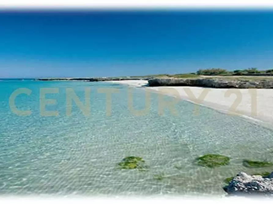 Immagine 54 di Villa in vendita  in la dialma a Ostuni