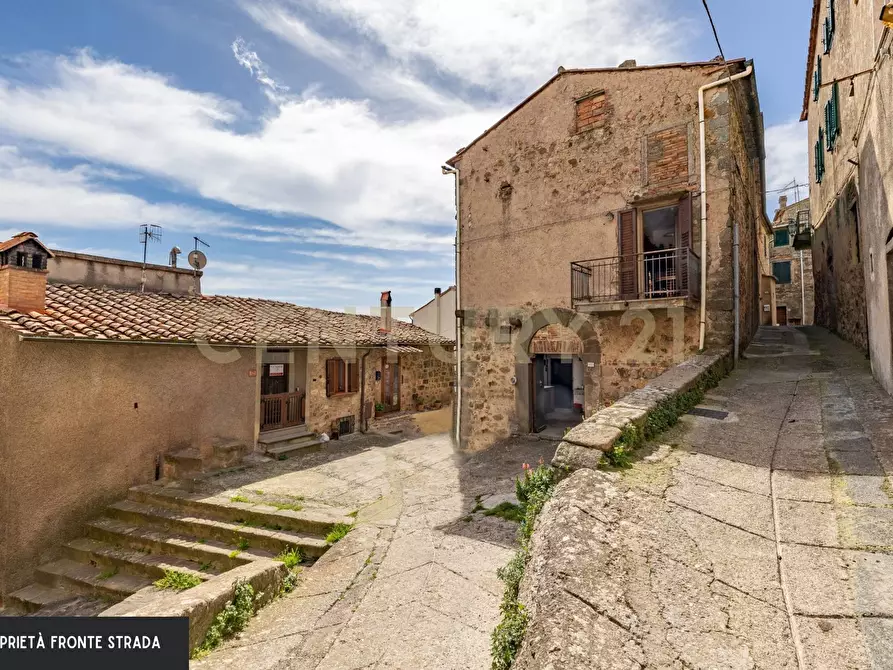 Immagine 6 di Appartamento in vendita  a Roccastrada