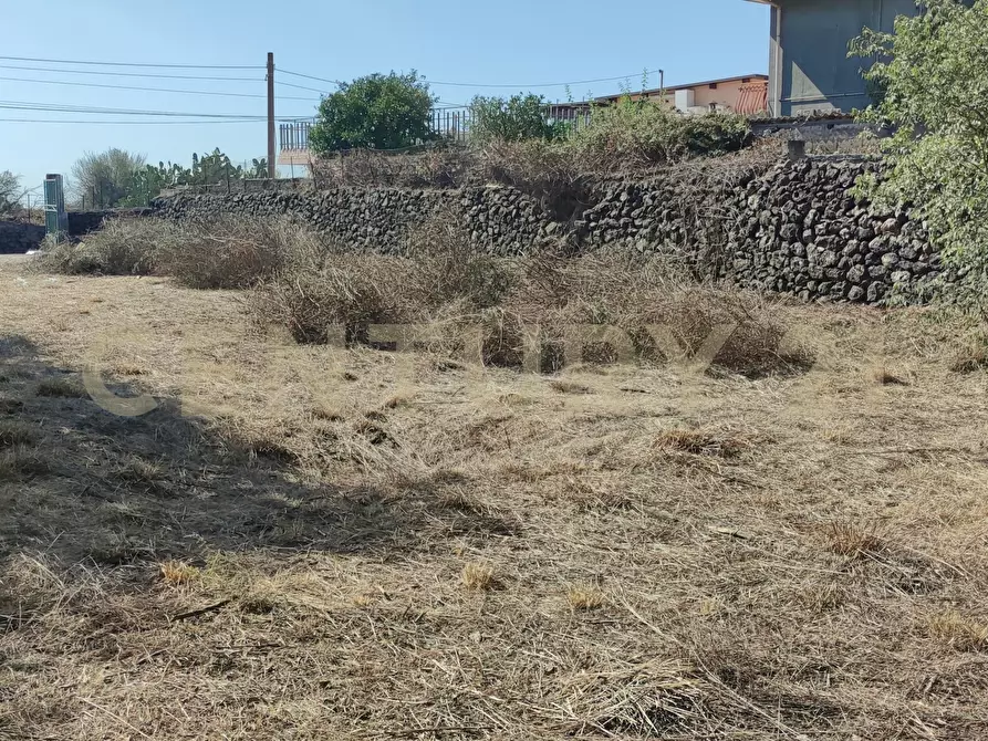 Immagine 20 di Terreno agricolo in vendita  in CONTRADA RACCOMANDATA a Misterbianco