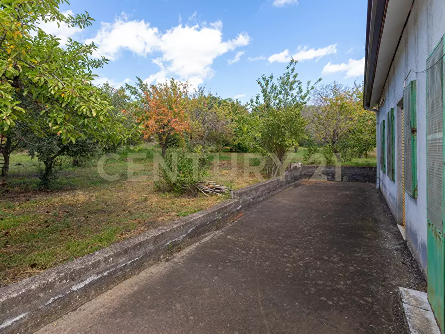 Immagine 15 di Villa in vendita  in Contrada Scolaro Cisterna a Adrano