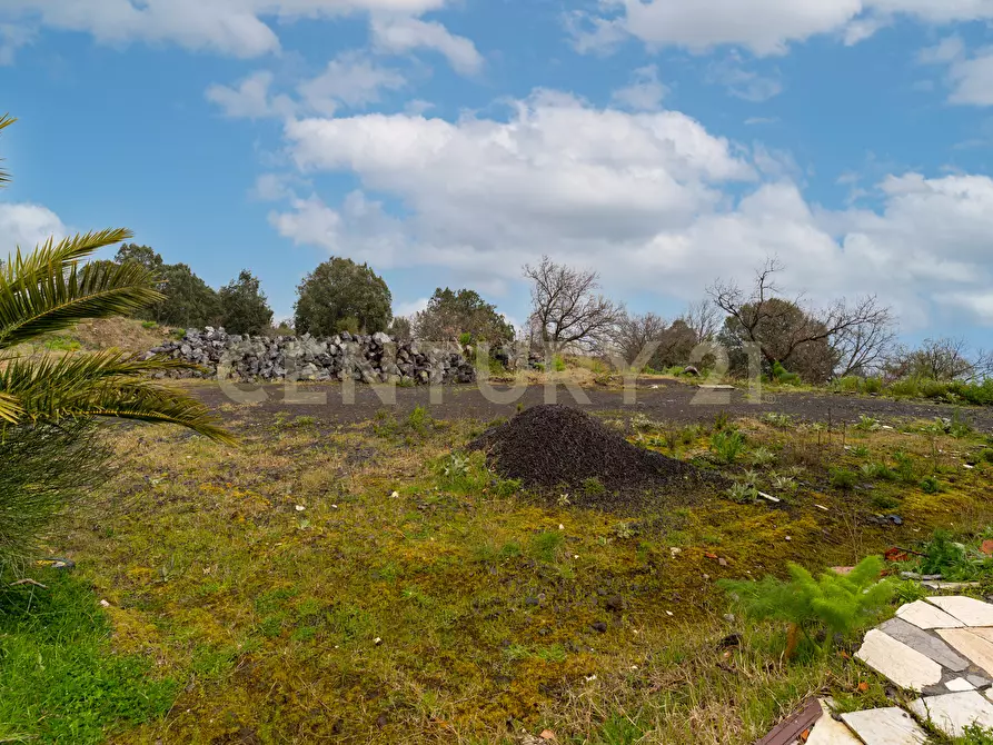 Immagine 44 di Villa in vendita  in Via Nocille 55 a Mascali