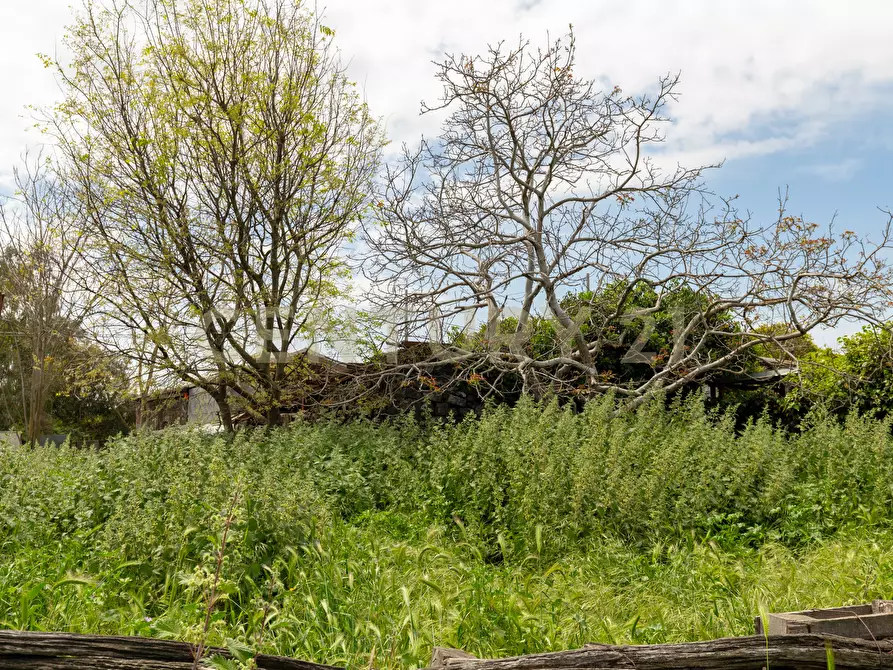 Immagine 9 di Terreno industriale in vendita  in Via dei Belfiore 4 a Valverde