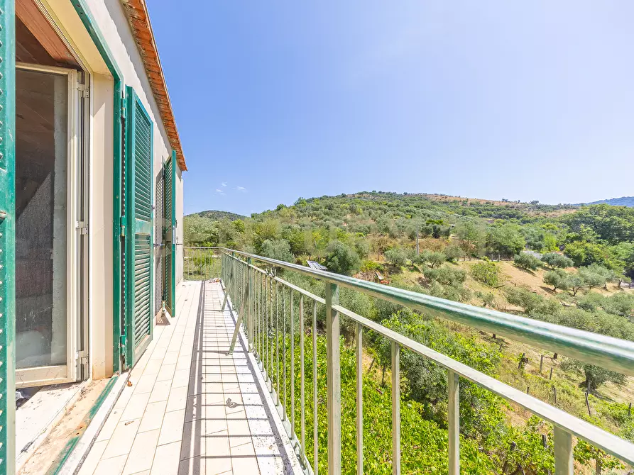 Immagine 4 di Rustico / casale in vendita  in via mercorano 1 a San Gregorio Da Sassola