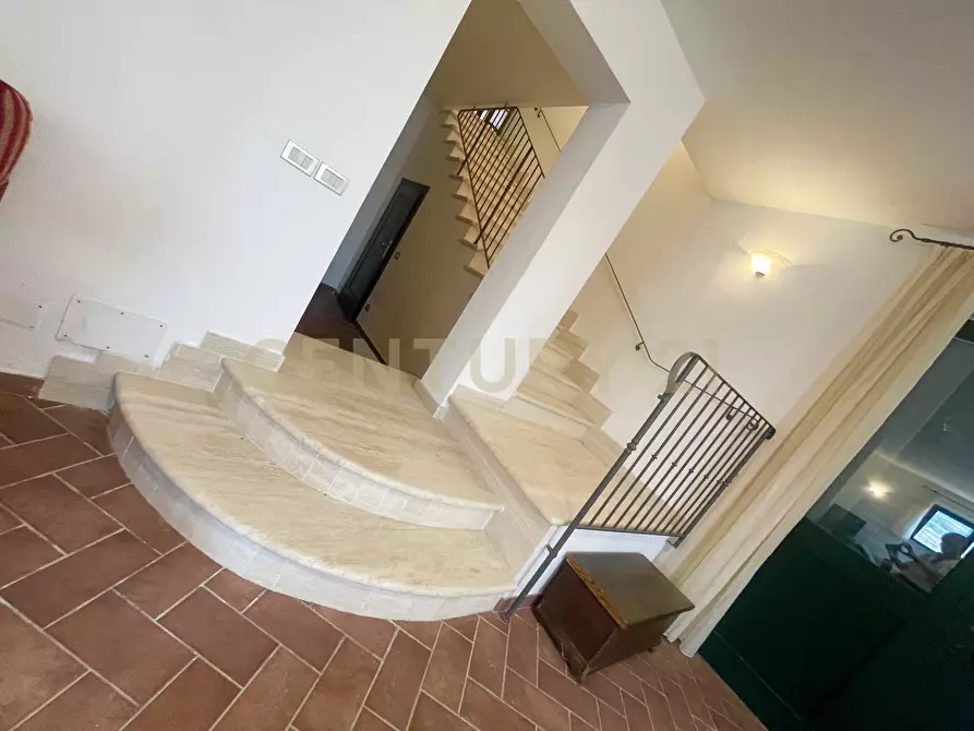 Immagine 26 di Azienda agricola in vendita  in località colle di lupo a Magliano In Toscana