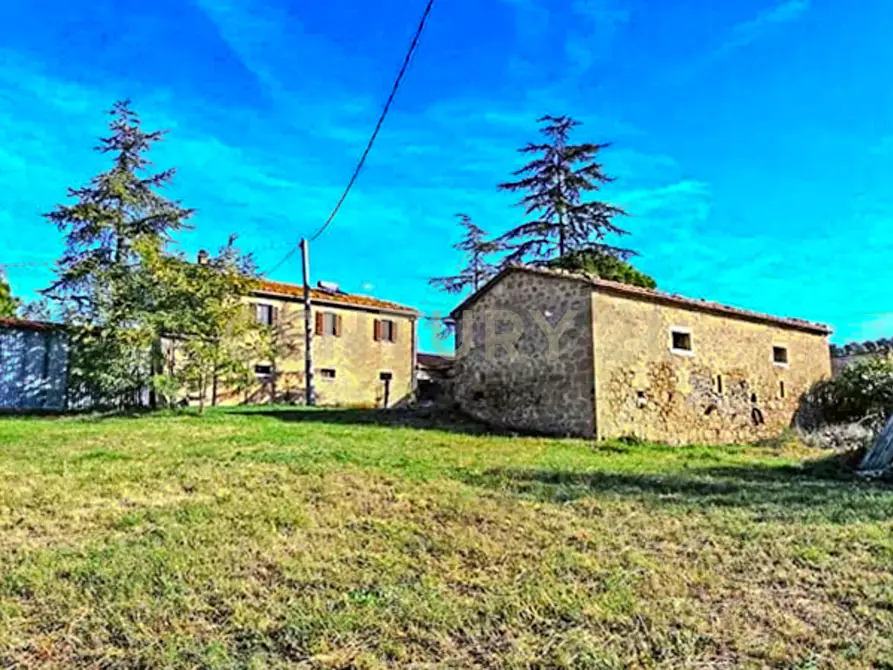 Immagine 5 di Casa indipendente in vendita  in località podere poggio sellino snc a Semproniano