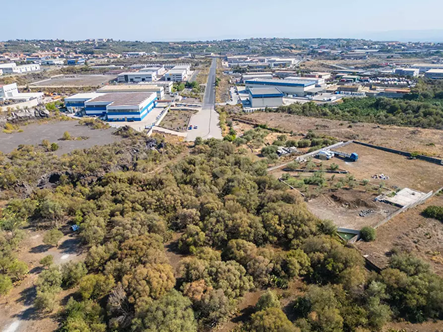 Immagine 25 di Terreno edificabile in vendita  in CONTRA FURERIA snc a Belpasso