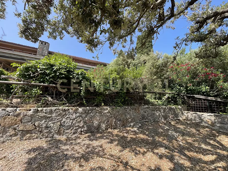 Immagine 12 di Rustico / casale in vendita  in località cannatelli snc a Monte Argentario