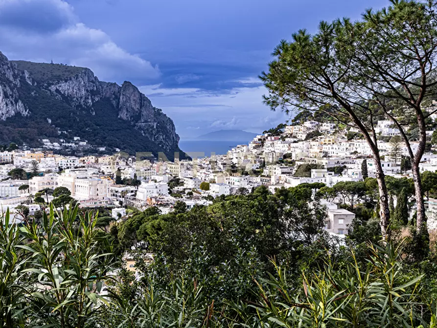 Immagine 5 di Villa in vendita  in Via Tuoro 11 a Capri