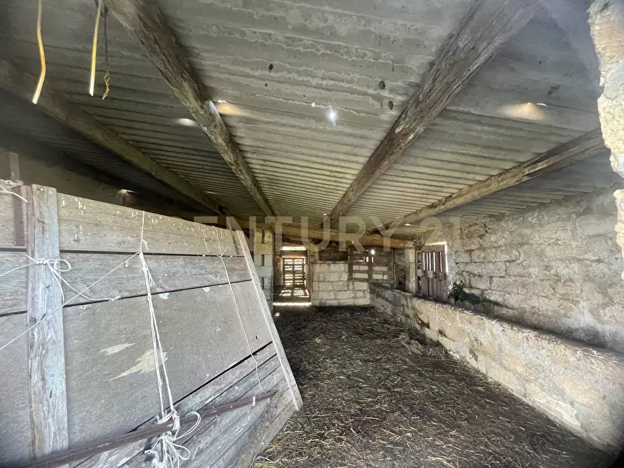 Immagine 16 di Terreno agricolo in vendita  in CONTRADA CORRIDORE CAMPANA SNC a Portopalo Di Capo Passero