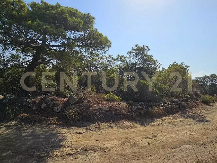 Immagine 18 di Casa indipendente in vendita  in Vicolo del Tufo 12 a Pantelleria