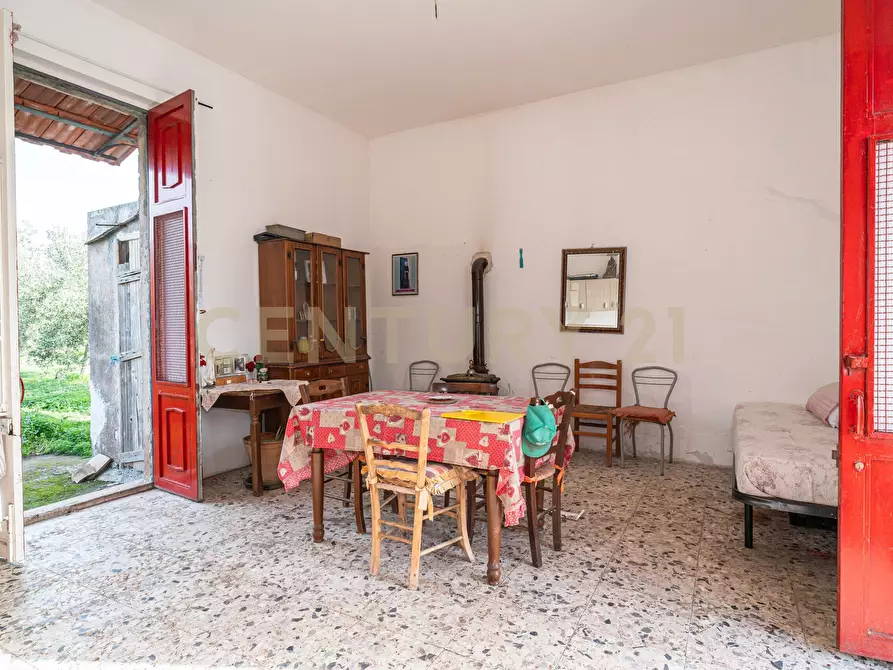 Immagine 9 di Terreno agricolo in vendita  in Contrada San Francesco snc a Paterno'