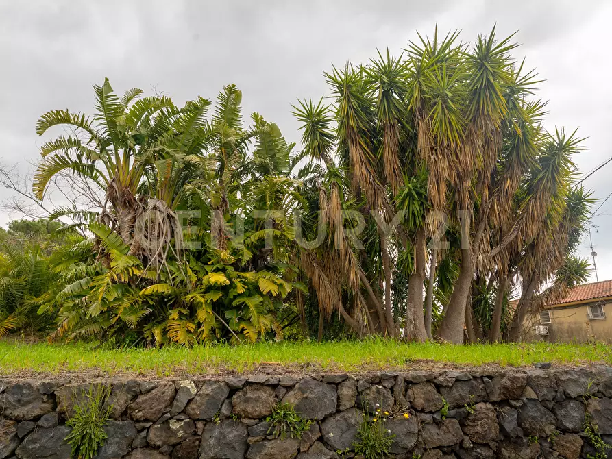 Immagine 29 di Casa indipendente in vendita  in Via Armando Diaz 83 a Zafferana Etnea