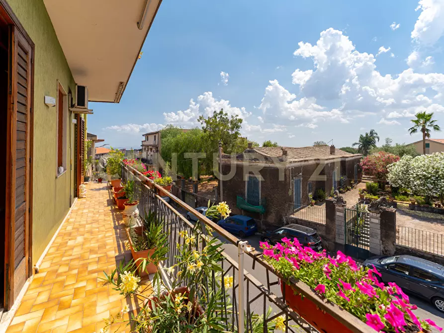 Immagine 15 di Casa semindipendente in vendita  in Via Duca degli Abruzzi 105 a San Giovanni La Punta