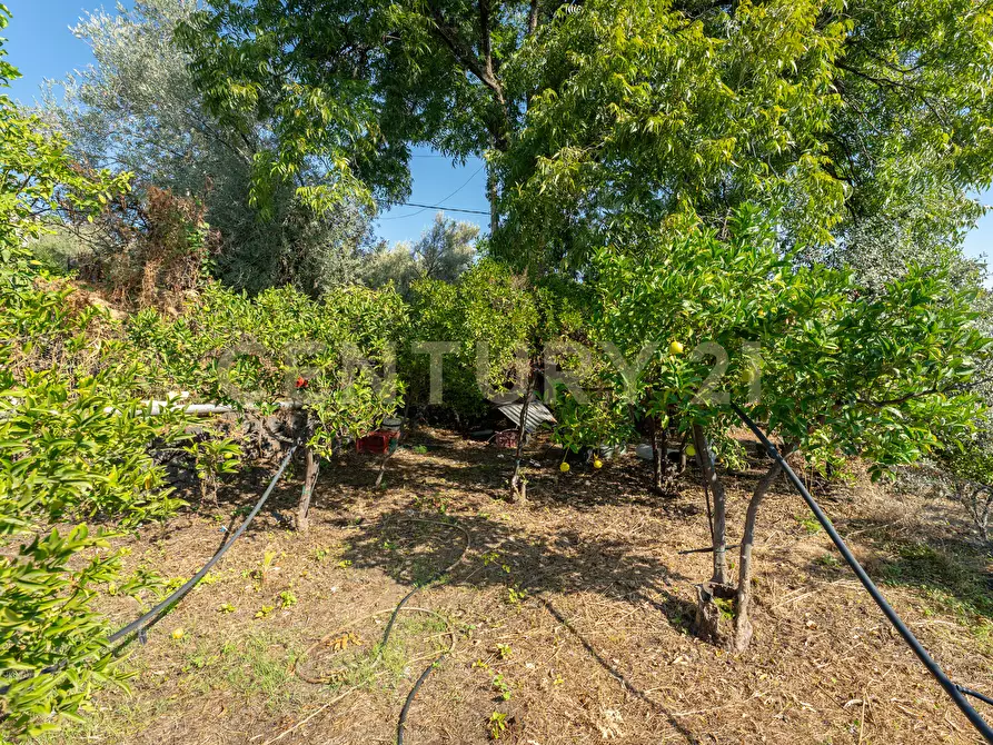Immagine 16 di Villa in vendita  in Via di Bartolo a San Gregorio Di Catania