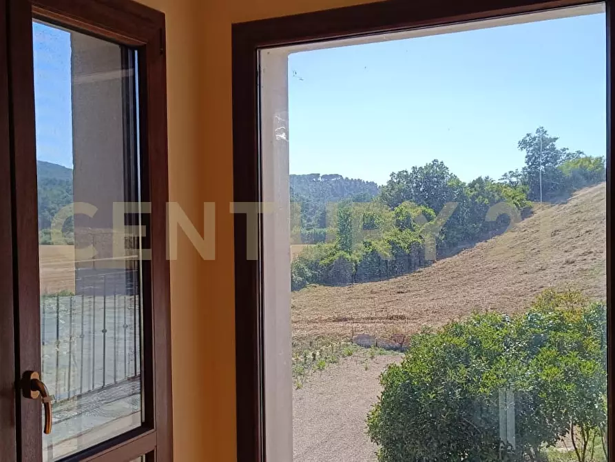 Immagine 43 di Rustico / casale in vendita  a Manciano