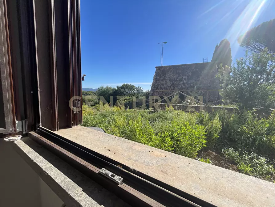 Immagine 19 di Villa in vendita  in località santa liberata a Monte Argentario
