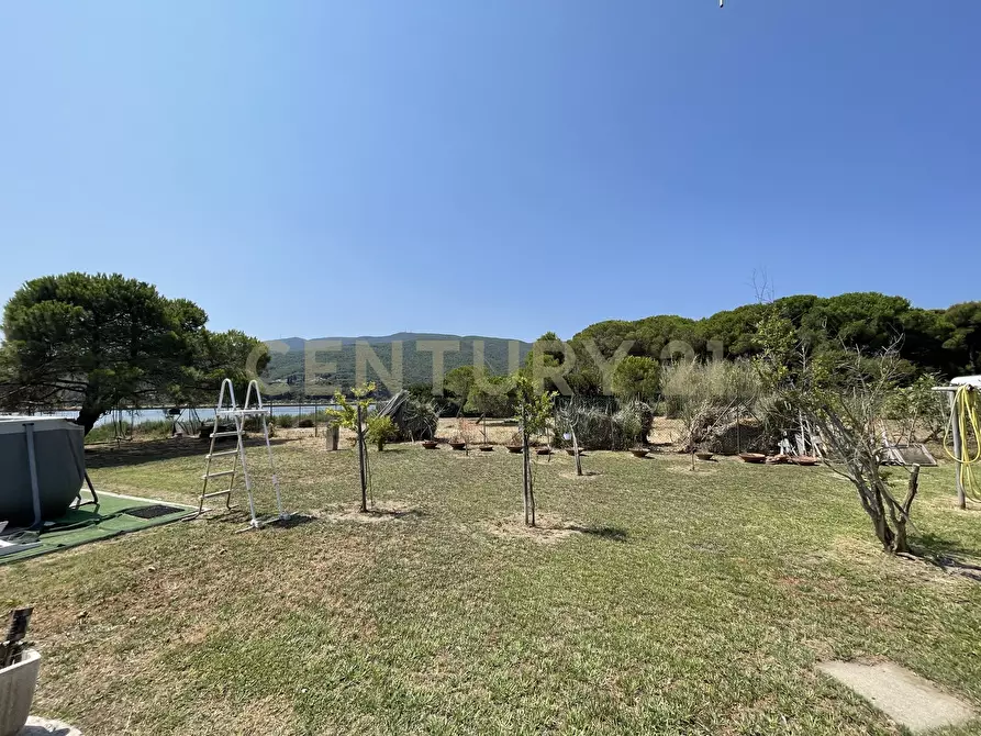 Immagine 8 di Terreno agricolo in vendita  in Strada Provinciale della Giannella a Orbetello