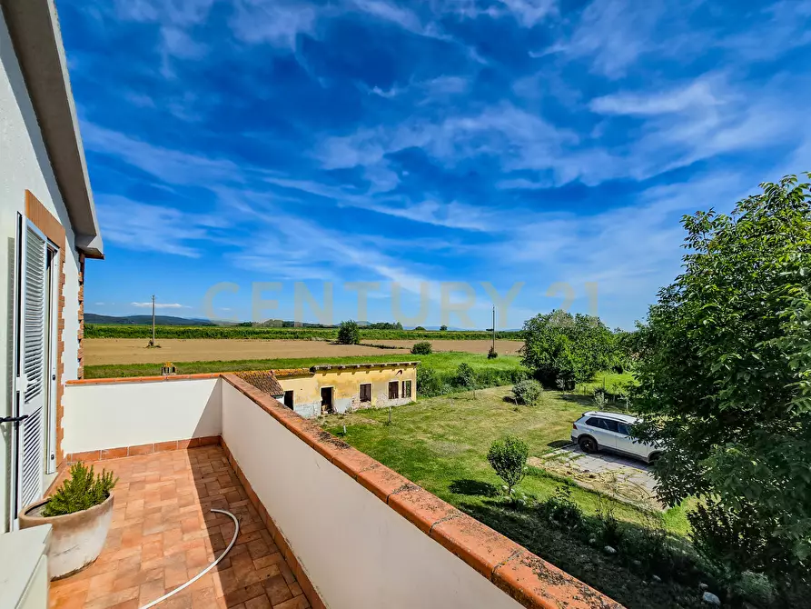 Immagine 20 di Rustico / casale in vendita  in Strada Comunale di Montalcino 65 a Castiglione Della Pescaia