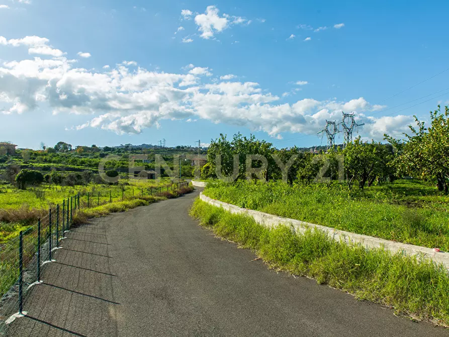 Immagine 30 di Terreno agricolo in vendita  in Via San Piero Patti 108 a Acireale