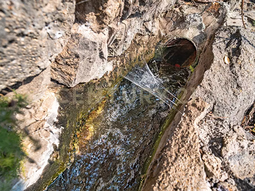 Immagine 52 di Terreno agricolo in vendita  in Via San Leo a Adrano